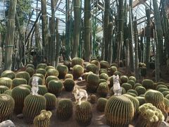 -南山植物园
