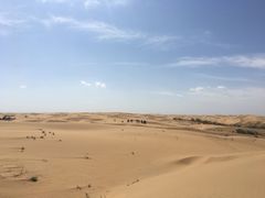 -恩格贝生态旅游区