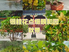 -颐和园