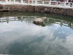 -白马涧龙池景区