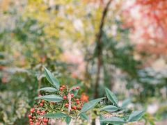 -上海吴淞炮台湾国家湿地公园