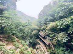 -莫干山风景区