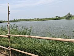 -黄沙古渡原生态旅游区