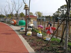 -上海长兴岛郊野公园