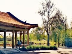 -张家湾公园