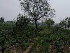 -习仲勋故居