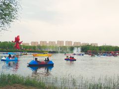 -曹州牡丹园