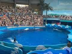 -海合安成都极地海洋公园