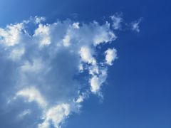 -瑶湖郊野森林公园