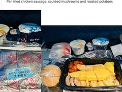 -新加坡航空公司(ION)