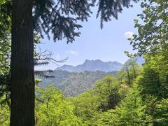 -九华山风景区