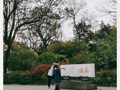 -苏堤停车场