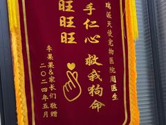 -瑞派天使宠物医院·神经外科·骨科·核磁(洛川中路店)