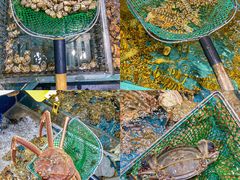 -好兄弟郭巨海鲜(天一阁店)