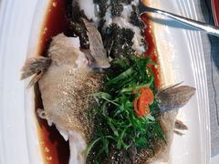 -上海宝华喜来登酒店·采悦轩中餐厅