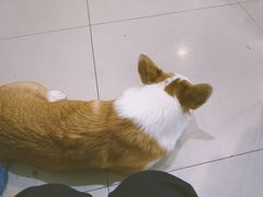 -平行世界·猫咖(首经贸店)