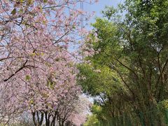 -广东财经大学(广州校区)