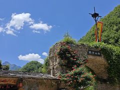 -牛背梁国家森林公园