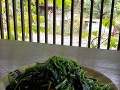 -海南热带雨林国家公园吊罗山景区