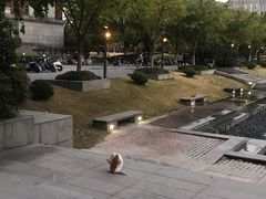 -华东政法大学(松江校区)