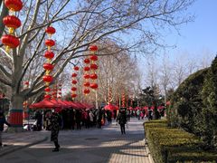 -黄村公园