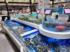 -渔人码头(中南店)