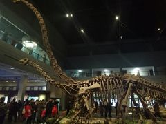 -自贡恐龙博物馆