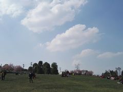 -秀丽东方
