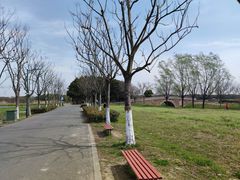 -嘉北郊野公园