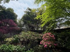 -上海醉白池公园