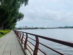 -长春市南湖公园