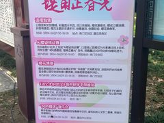 -堤角公园