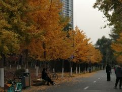 -长白岛森林公园