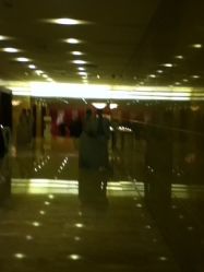 -上海浦东华美达大酒店·宴会厅