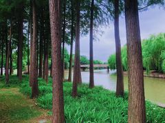 -上海月湖雕塑公园