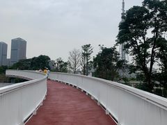 -文华公园(禅城区)