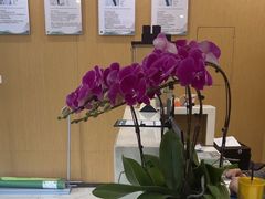 -艾维口腔(春江花月门诊部)