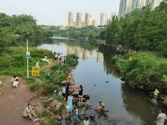 -重庆彩云湖湿地公园