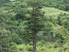 -硗碛藏寨·神木垒景区