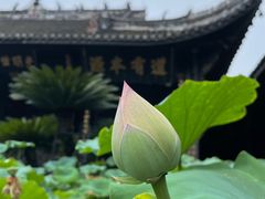 -宝光寺
