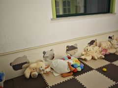 -上海市白玉兰幼儿园