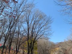 -玉渡山自然风景区