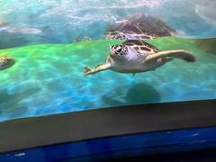 -常州海昌海洋探索馆