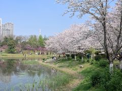 -堤角公园