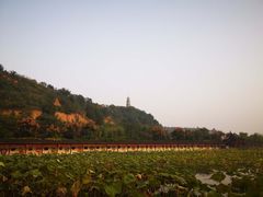 -渭南桃花源民俗文化园