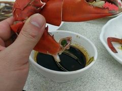 -旅南活海鲜-屏东(墾丁海鮮，海鮮餐廳，墾丁團體合菜，平價熱炒，墾丁熱炒店，活海鮮推薦，在地海鮮餐廳)