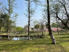 -采石矶景区