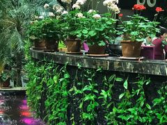 大堂-天宫南铂玫瑰园酒店