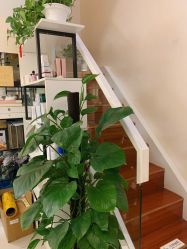 店内环境-赢韵美甲美睫瑞士净斑中心