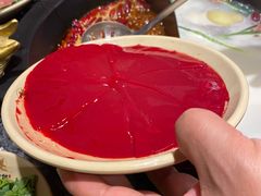 -蜀大侠火锅(森兰花园城店)